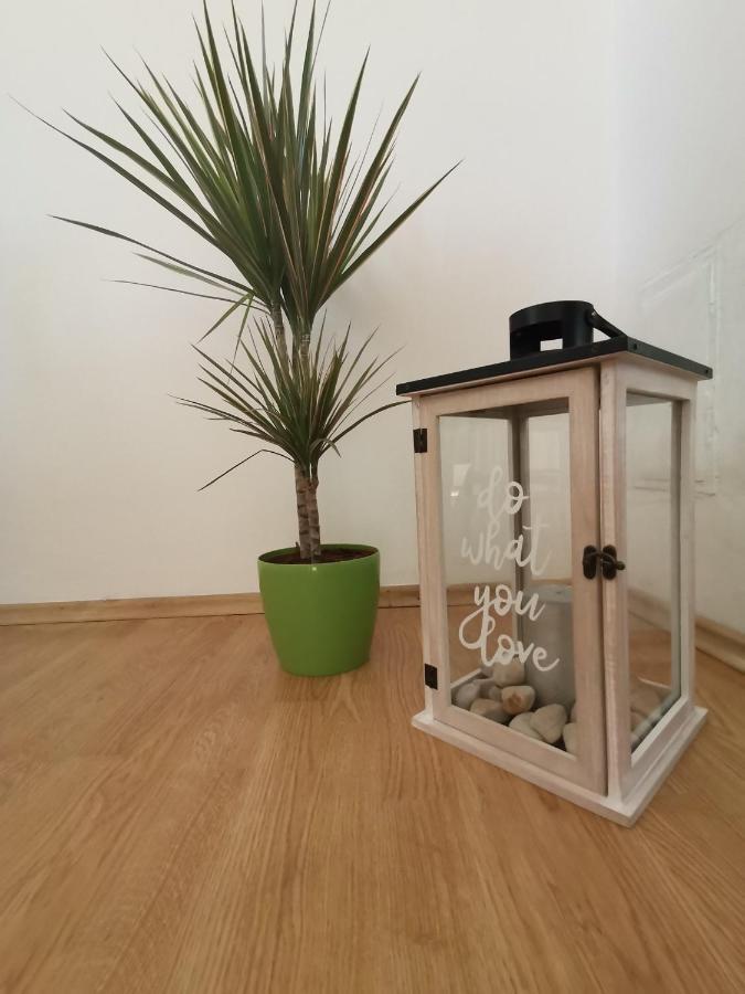 Apartment Lora Криквеница Екстериор снимка